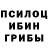 Псилоцибиновые грибы мицелий Ayax 3rd