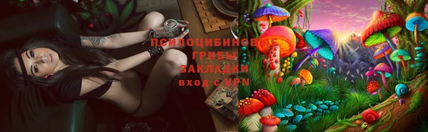 спиды Магас