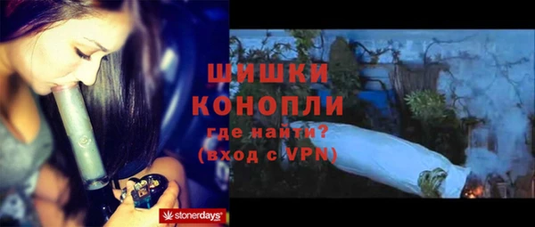 стаф Майский