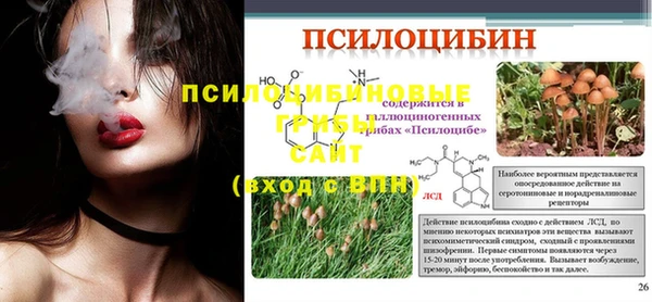 стаф Майский