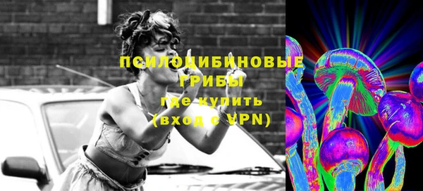 спиды Магас