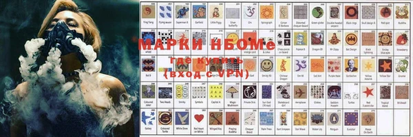 спиды Магас