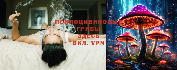 спиды Магас