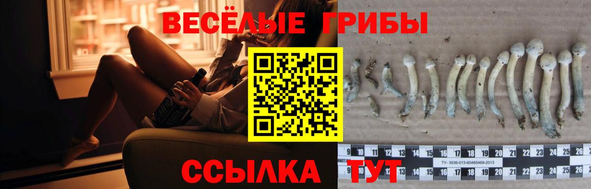Псилоцибиновые грибы Magic Shrooms Нефтеюганск